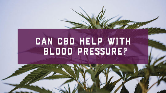 Can CBD Help with Blood Pressure?