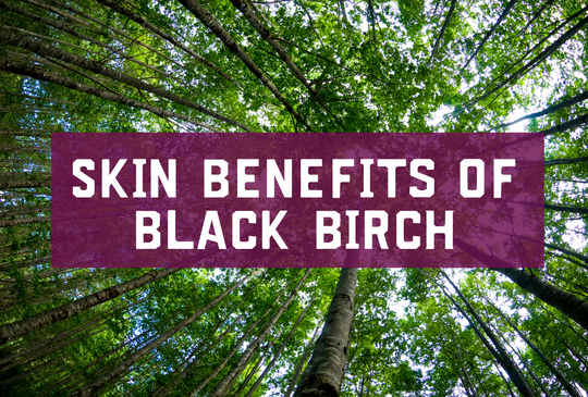 Skin Benefits of Black Birch