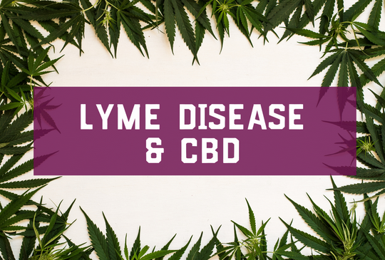 Lyme Disease & CBD