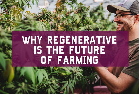 Why Regenerative Is The Future of Farming