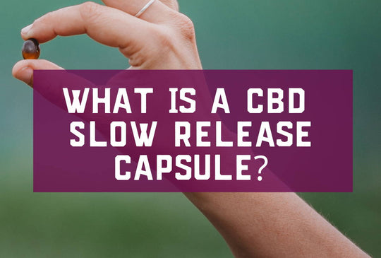 What is a CBD Slow Release Capsule?