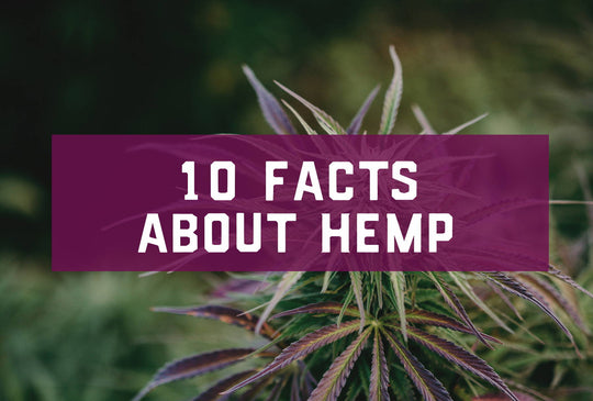 10 Facts About Hemp