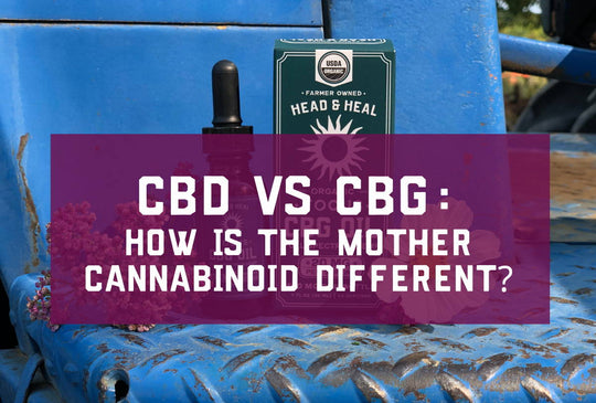 CBD vs CBG: How is the Mother Cannabinoid Different?