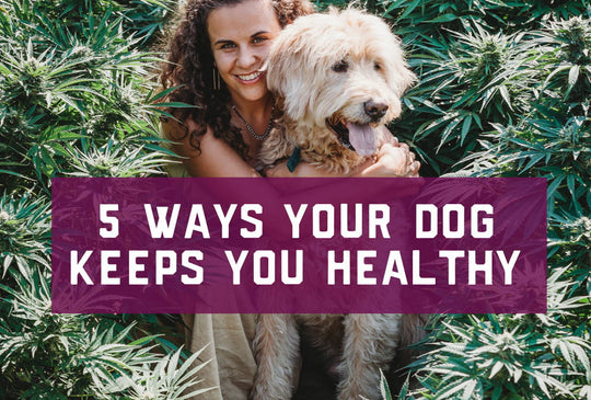 5 Ways Your Dog Keeps YOU Healthy